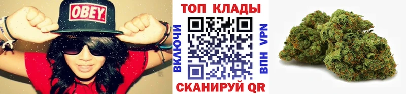 Лсд 25 Электрогорск