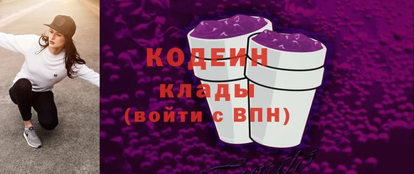 СК Пересвет