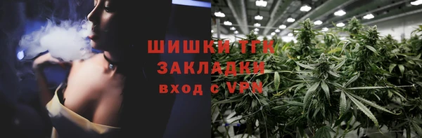 СК Пересвет