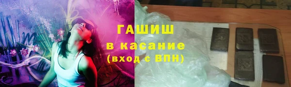 СК Пересвет
