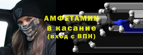 СК Пересвет