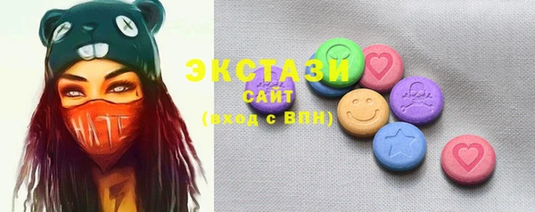 СК Пересвет