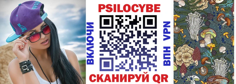 блэк спрут tor Электрогорск Галлюциногенные грибы мухоморы