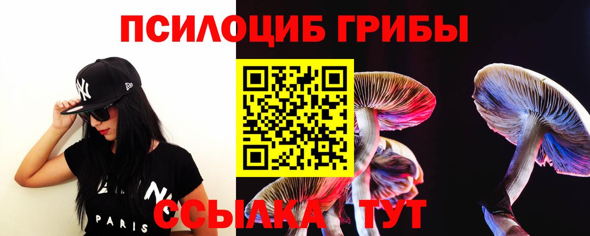 Галлюциногенные грибы Psilocybe  Электрогорск 