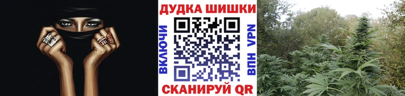 Бошки Шишки сатива  маркетплейс как зайти  Электрогорск 