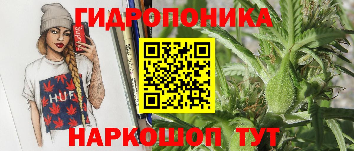 Бошки марихуана Amnesia  Электрогорск  Каннабис THC 21%  Бошки Шишки AK-47 